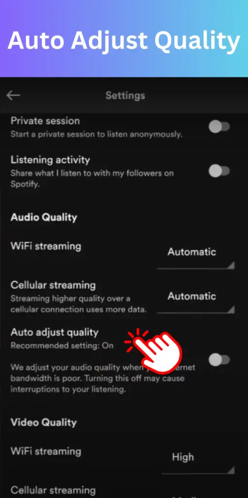 Spotify Auto Adjust Quality